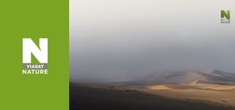 Evolve - Survive Evolve - Survive