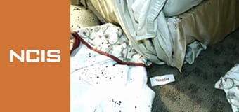 NCIS Season 3 Episode 21