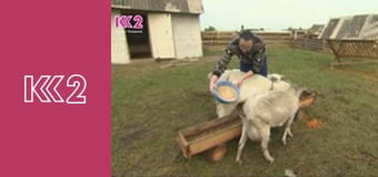 Шість соток S2E6