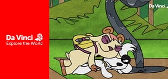 Докі - Гра почалась