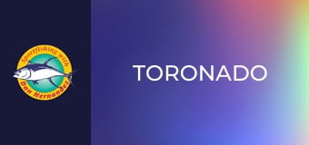 Toronado Toronado
