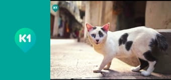 "Так не бывает".