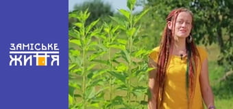 "Эко-дача" сезон 1 серия 31 "Эко-дача" сезон 1 серия 31