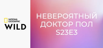 Невероятный доктор Пол S23E3