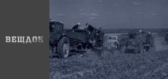 Рука мастера