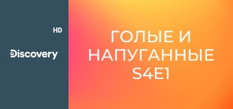 Голые и напуганные S4E1