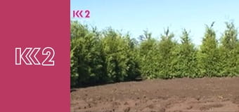 Готуємо разом S7E32 - Страви з сиру