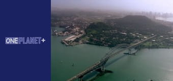 Залізничні Історіі - cерия 8