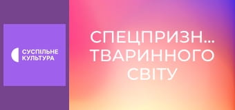 Д/с "Спецпризначенці тваринного світу". "Елітні війська".