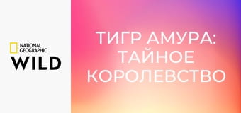 Тигр Амура: Тайное королевство