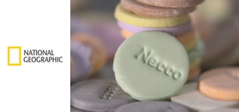 Фабрика еды S1E1 - Конфетки и пироги с мясом