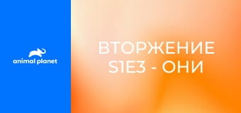 Вторжение S1E3 - Они пришли снизу