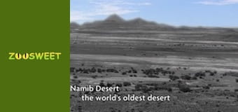 Моі улюбленці - серія 1