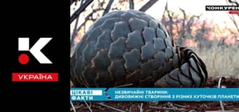 Интересные факты.