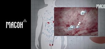 У пошуках знань. Тестостерон. Гормон агресії? У пошуках знань. Тестостерон. Гормон агресії?