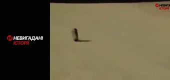 Невигадані історії. Війна. Початок.