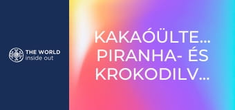 Kakaóültetvények, piranha- és krokodilvadászat. Bolívia. Kakaóültetvények, piranha- és krokodilvadászat. Bolívia.