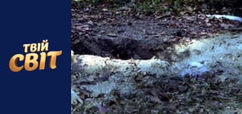 NCIS Сезон 1 Епізод 10