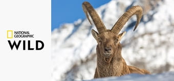 Скрытые чудеса Европы S1E2 - Пиренейский полуостров