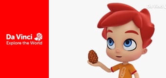 Бріко - Шишка Бріко - Шишка