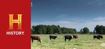 Древние пришельцы, 16 сезон, 8 эп. Супермагистраль для НЛО.