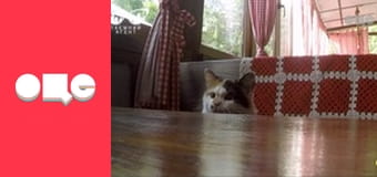 Таємний агент, 2 сезон, 8 еп.