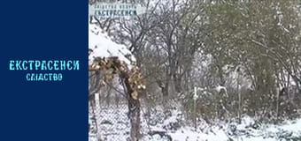 Сімейні чвари. Частина 2