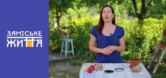 "Эко-дача" сезон 1 серия 33 "Эко-дача" сезон 1 серия 33