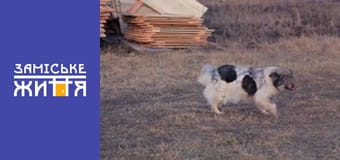 "Удачный бизнес" сезон 1 серия 11 "Удачный бизнес" сезон 1 серия 11