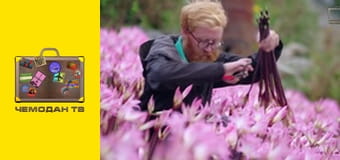 Острови Королеви. Острови Сіллі. Острови Королеви. Острови Сіллі.