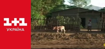 Світ навиворіт S3E10 Світ навиворіт S3E10