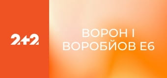 Ворон і Воробйов E6