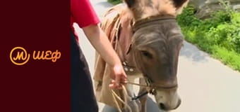 Сезон 8, Випуск 6, Частина 11