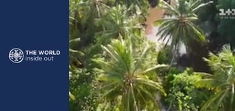 Journey to Marajó island and mangrove crab hunting. Brazil.