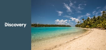 Голые и напуганные: на необитаемом острове S1E1