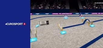 Конный спорт. Конкур. Кубок мира. Этап в Лионе, Франция.