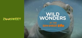 Дикі тварини Сан-Дієго - серія 3
