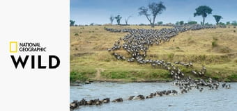 Мара: Возрождение S1E2