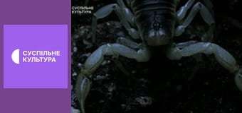 Д/с "Спецпризначенці тваринного світу". "Патруль".