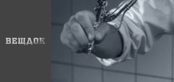 За витриной