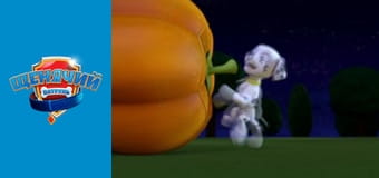 Щенячий патруль. Сезон 1 – серія 10