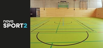 Házená: Bundesliga Házená: Bundesliga