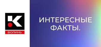 Интересные факты.