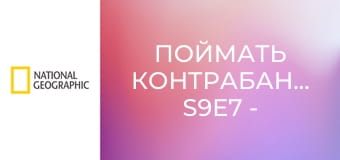Поймать контрабандиста S9E7 - Наркотики на борту!
