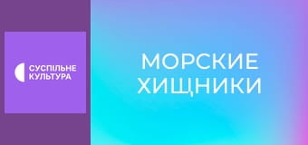 Д/с "Морские хищники". "Лимонная акула". Д/с "Морские хищники". "Лимонная акула".