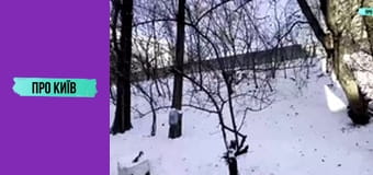 Найстаріша тюрма Києва.