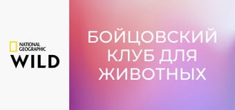 Бойцовский клуб для животных S4E3 - Короли-убийцы