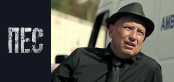 Пёс, Сезон 4, Серия 15