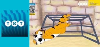 Козаки. Футбол - Румунія