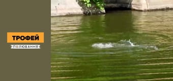 Мисливські рецепти Сезон 1 Епізод 15